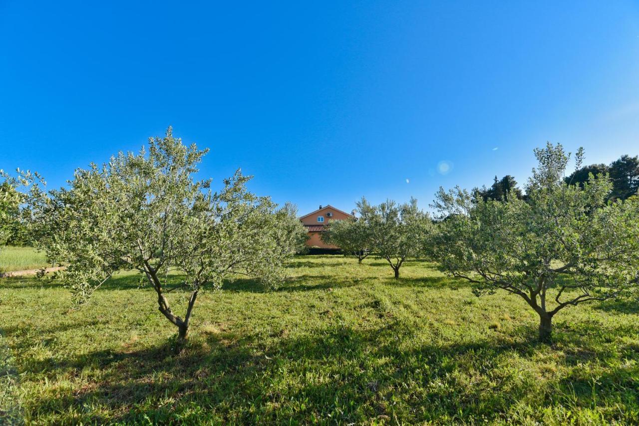 Holiday Home Taras Smilcic المظهر الخارجي الصورة