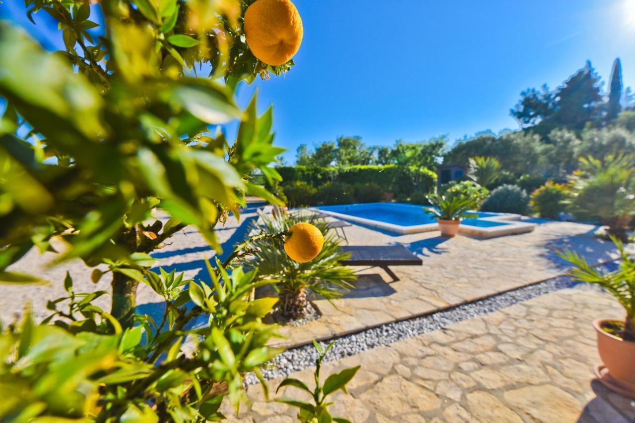 Holiday Home Taras Smilcic المظهر الخارجي الصورة